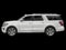 2020 Ford Expedition Platinum MAX